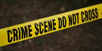 What Is The Majority Of Crime Committed By Race?