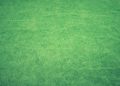 Green Artificial Turf And Its Types