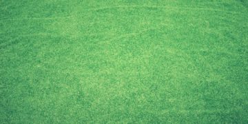 Green Artificial Turf And Its Types